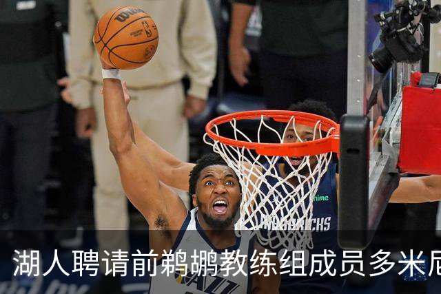湖人聘请前鹈鹕教练组成员多米尼克·萨曼吉担任篮球运营分析师